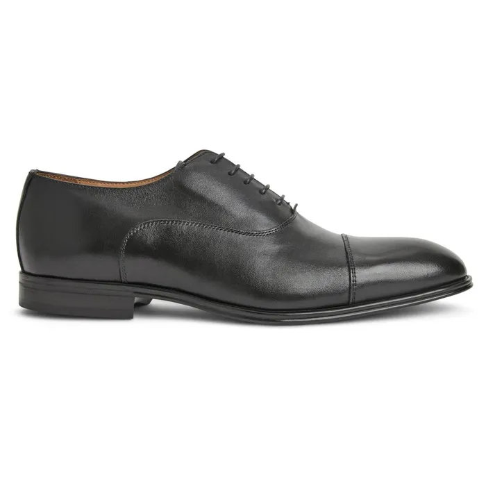 ADRIANOBLACK Men Bruno Magli Laceups and Oxfords