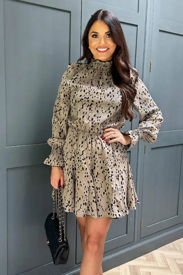 AX Paris Beige Animal Print Long Sleeve Shirred Detail Skater Dress Dresses