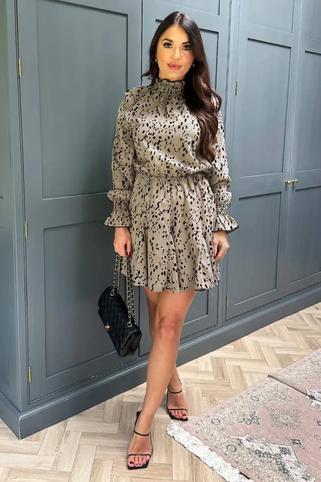 AX Paris Beige Animal Print Long Sleeve Shirred Detail Skater Dress Dresses
