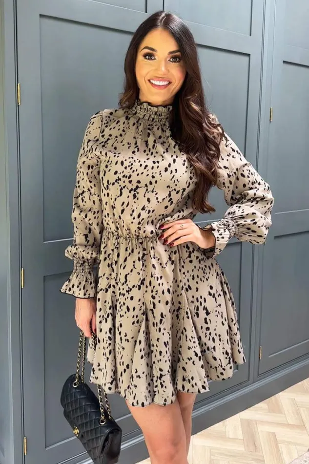 AX Paris Beige Animal Print Long Sleeve Shirred Detail Skater Dress Dresses