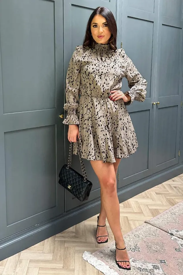 AX Paris Beige Animal Print Long Sleeve Shirred Detail Skater Dress Dresses