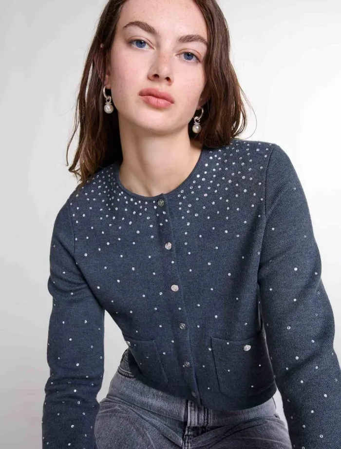 Maje Sweaters and Cardigans Womens Knitted Jumper With Rhinestones Grey