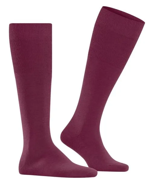 Men Airport Men Kneehigh Socks Red Plum FALKE Knee High Socks