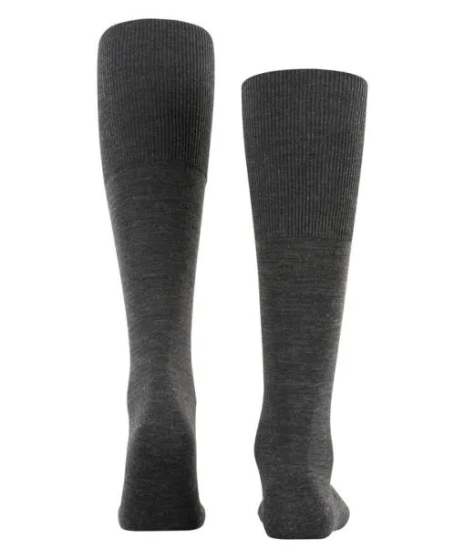 Men Airport Plus Men Kneehigh Socks Anthramel FALKE Knee High Socks