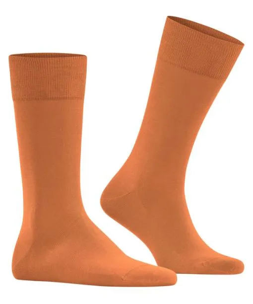 Men Cool 247 Men Socks Tandoori FALKE Socks