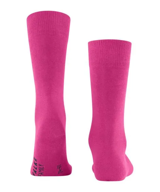 Men Family Men Socks Gloss FALKE Socks