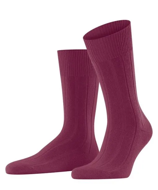 Men Lhasa Rib Men Socks Red Plum FALKE Socks