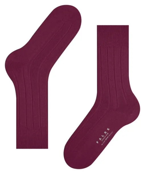 Men Lhasa Rib Men Socks Red Plum FALKE Socks