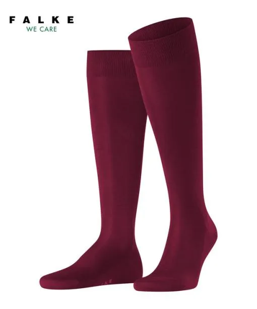 Men Tiago Men Kneehigh Socks Barolo FALKE Knee High Socks
