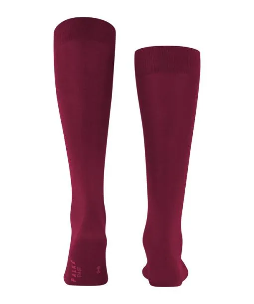 Men Tiago Men Kneehigh Socks Barolo FALKE Knee High Socks