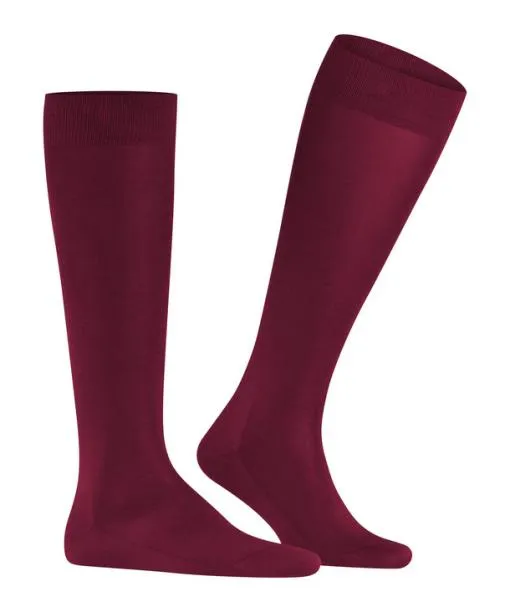 Men Tiago Men Kneehigh Socks Barolo FALKE Knee High Socks