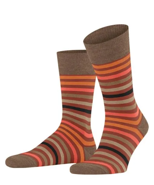 Men Tinted Stripe Men Socks Port Royale FALKE Socks