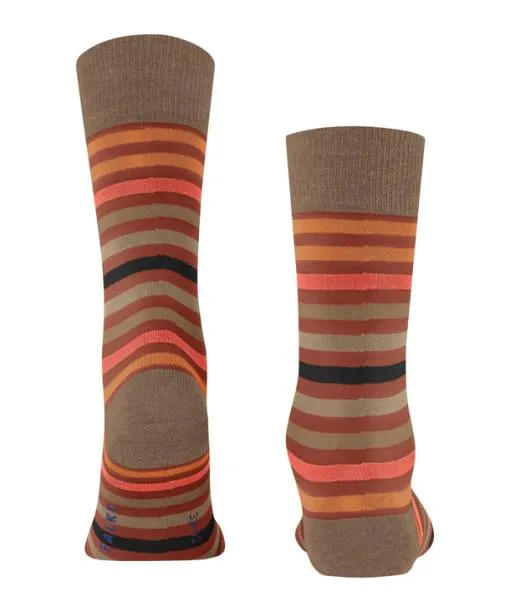 Men Tinted Stripe Men Socks Port Royale FALKE Socks