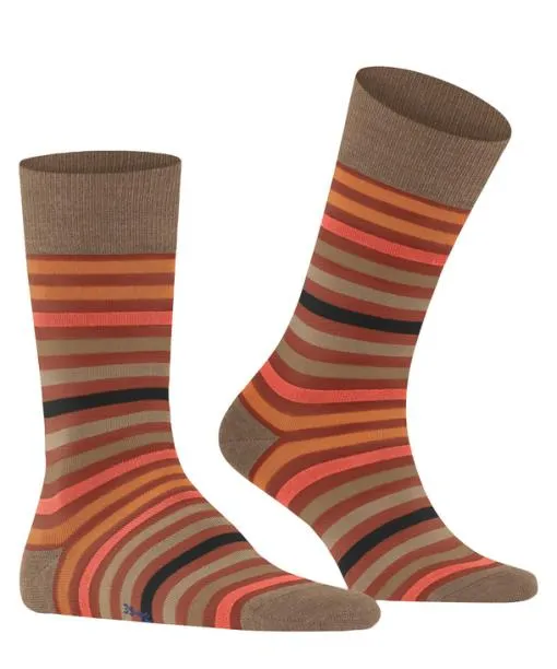 Men Tinted Stripe Men Socks Port Royale FALKE Socks