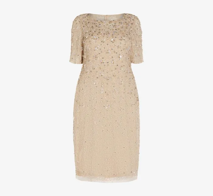Midi Dresses Womens Adrianna Papell Plus Size Beaded Cocktail Dress In Biscotti
