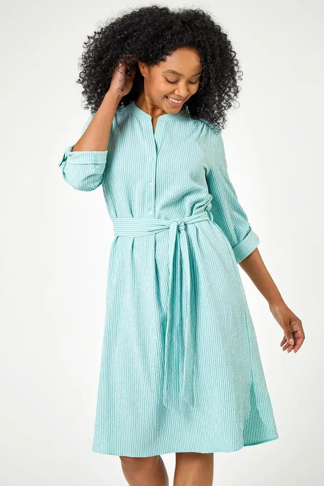 Mint Petite Stripe Print Shirt Dress Women Roman Dresses