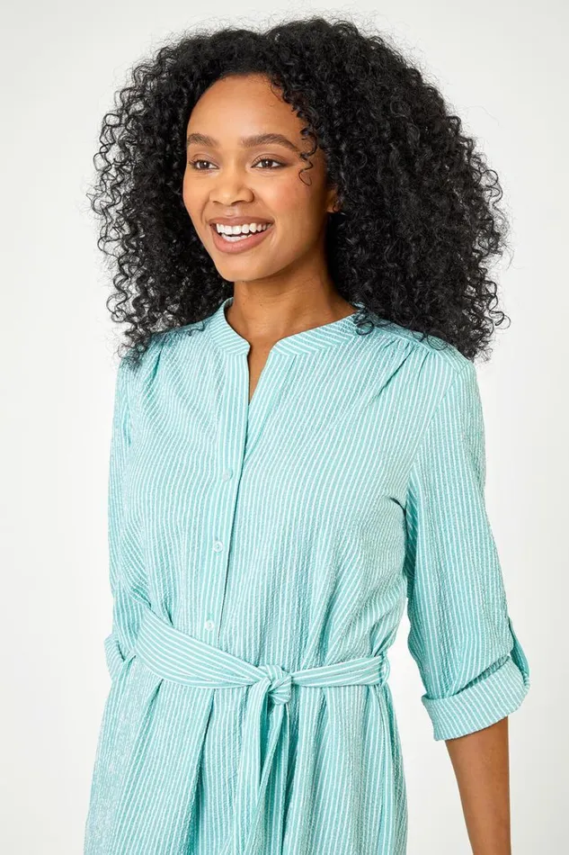 Mint Petite Stripe Print Shirt Dress Women Roman Dresses