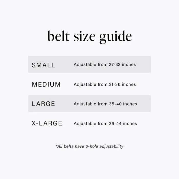 Women Brahmin Belts Wide Covered Leather Buckle Belt Grey Classic Snake