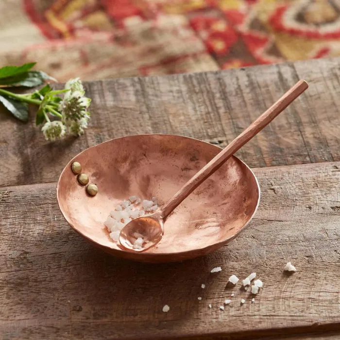 Women Copper Spice Dish And Spoon Sundance Catalog Decor