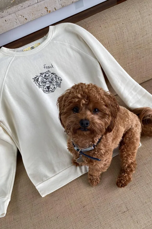 Women STAUD Pet Sweats and Knits CUSTOM STAUD X CBONZ SWEATSHIRT CREAM